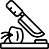 Key Point Icon